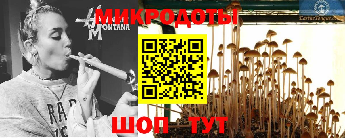 Галлюциногенные грибы Magic Shrooms  дарнет шоп  Москва  Псилоцибиновые грибы Psilocybe  Вход с VPN 